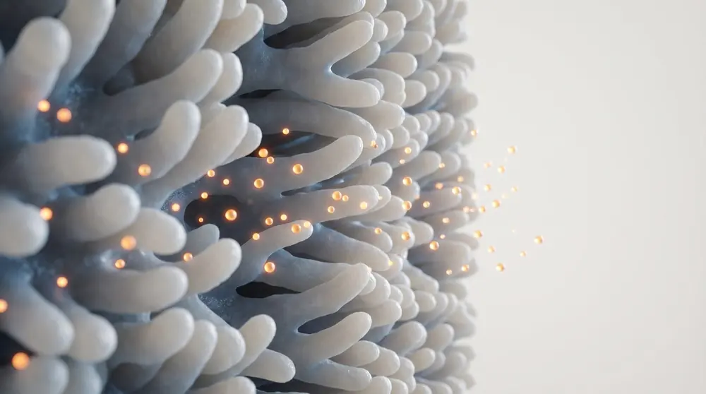 Absorb